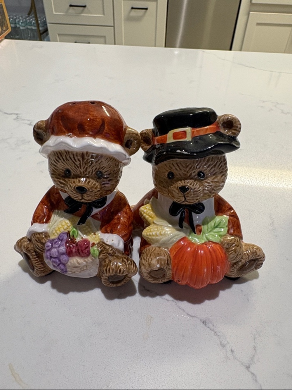 Thanksgiving Bear Salt & Pepper Shakers - Harvest Colors - Picture 1 of 7